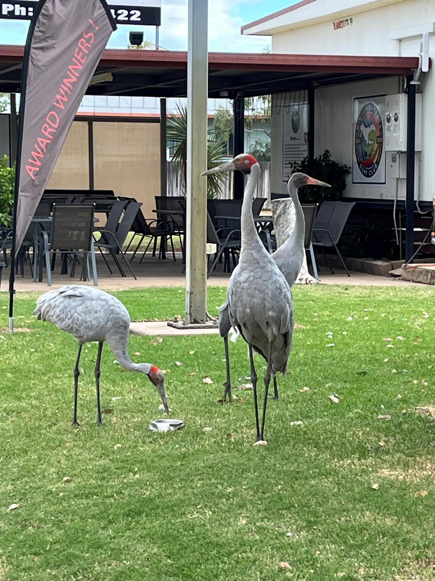 Winton Outback Motel Kültér fotó
